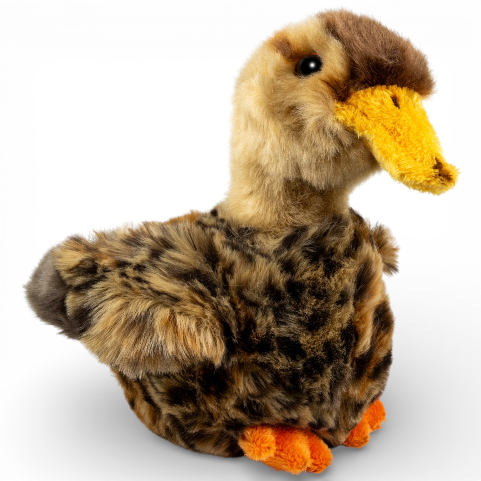 Stuffed Animal Wild Duck