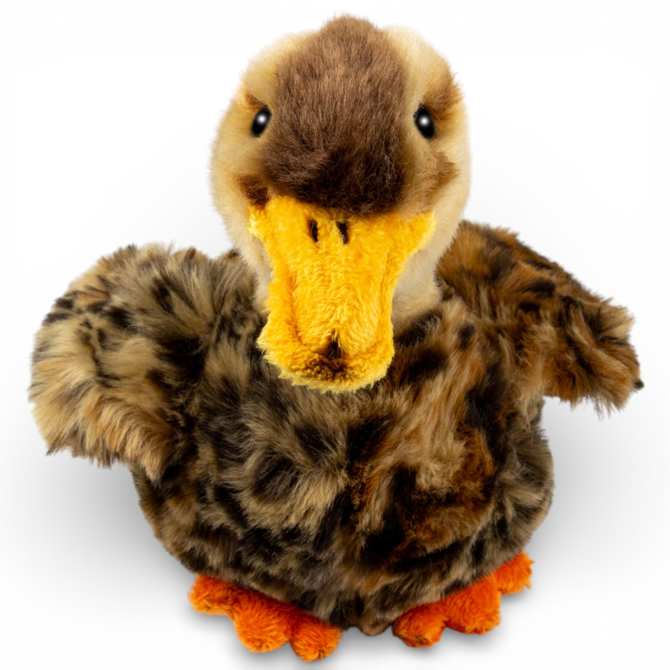 Stuffed Animal Wild Duck
