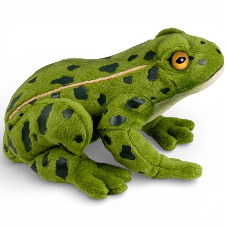 Stuffed Animal Frog
