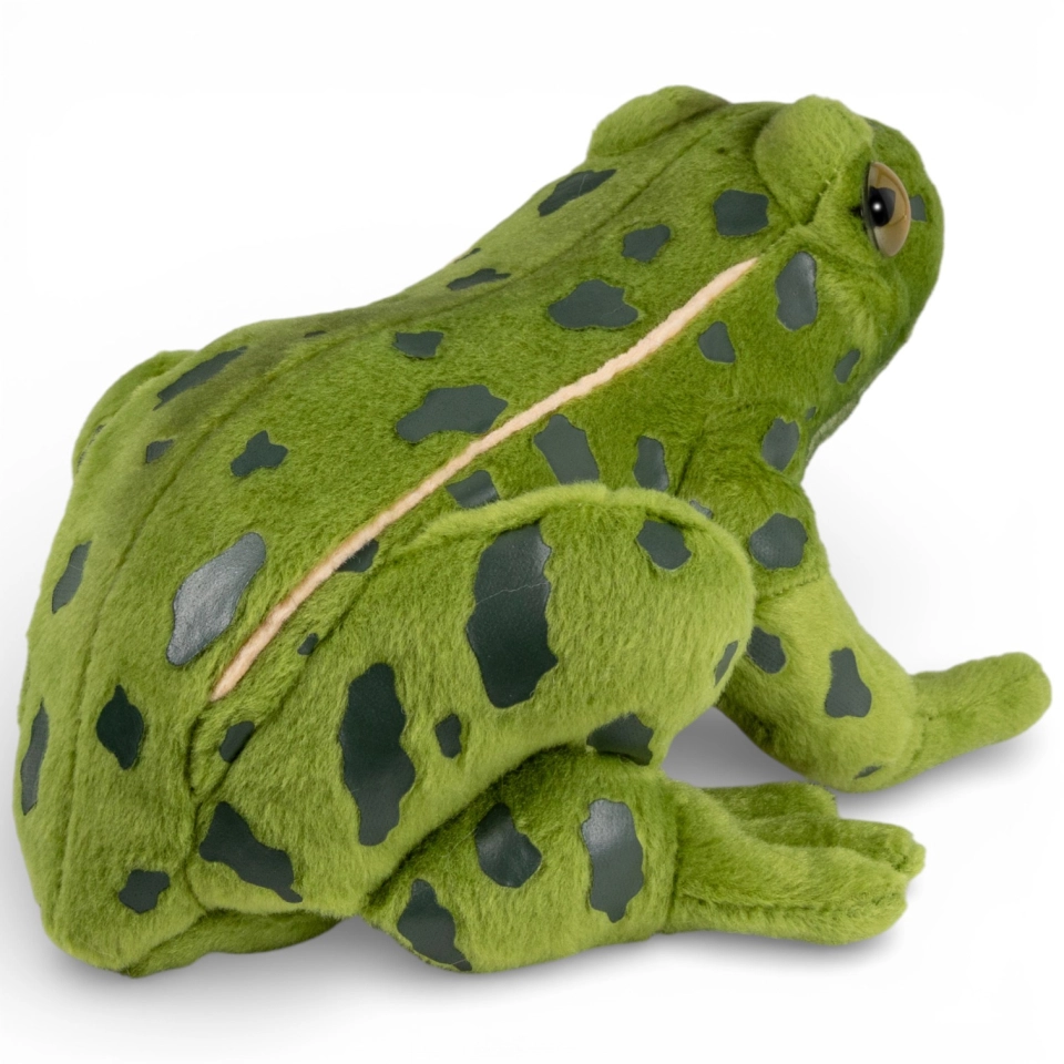 Stuffed Animal Frog