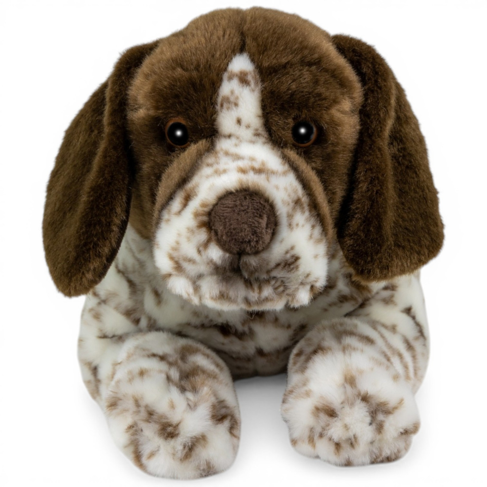 Kuscheltier Deutscher Kurzhaar Jagdhund