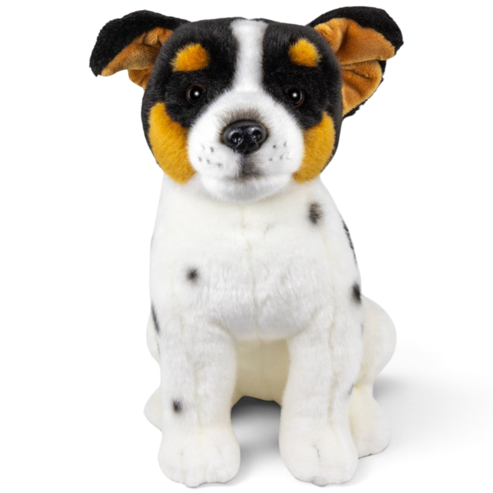 Stuffed Animal Jack Russell Terrier