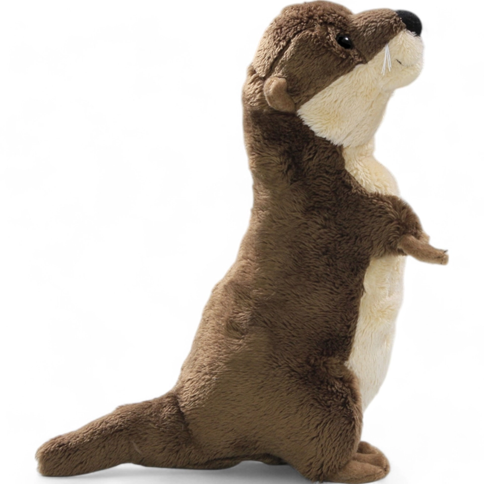 Otter standing Otter standing