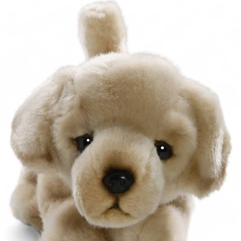 Stuffed Animal Golden Retriever Dog Floppy