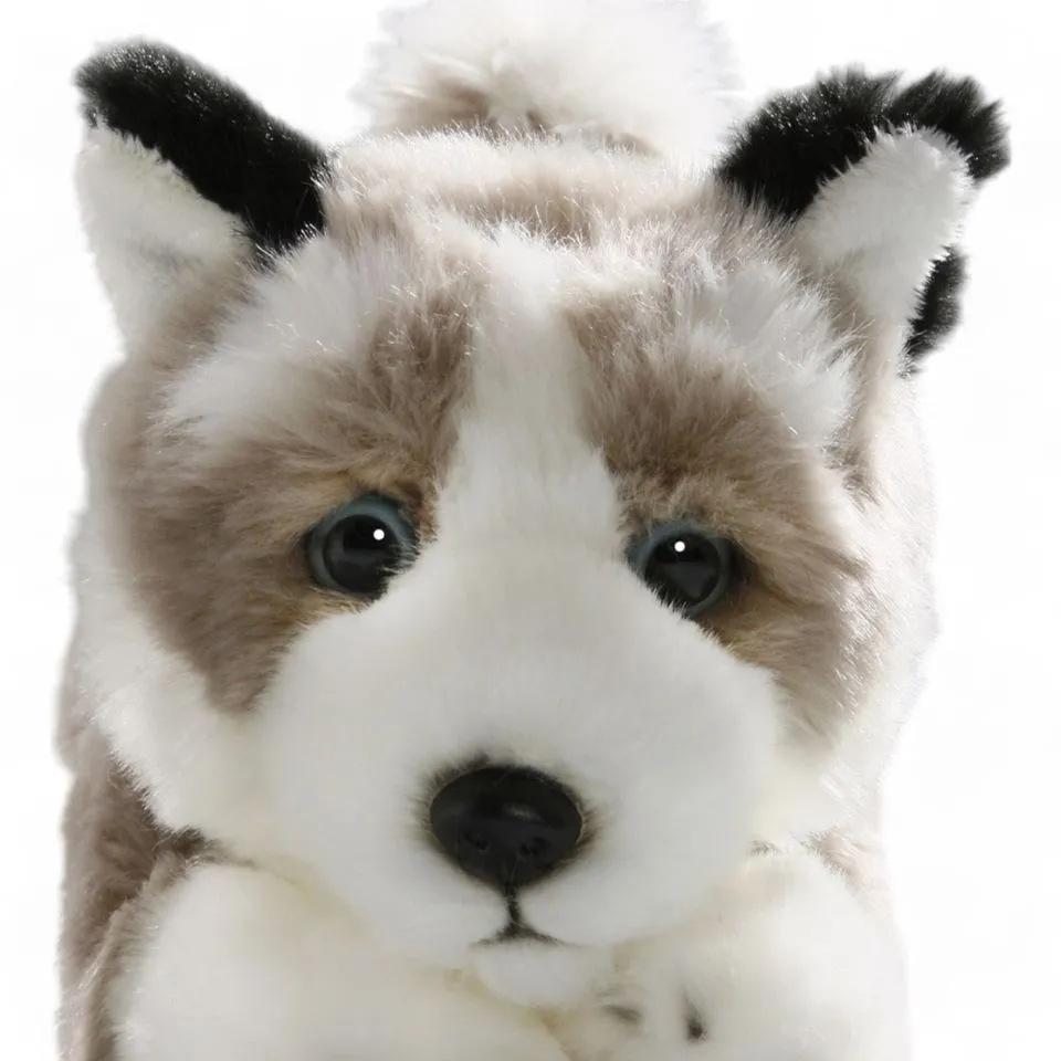 Stuffed Animal Husky Floppy