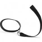 Leash, dog leash - accessories