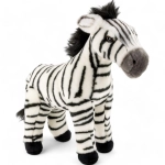 Zebra stehend