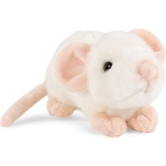 Mouse white