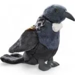 Tui Bird