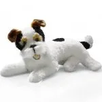 Fox Terrier liegend