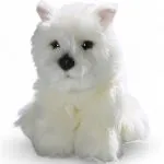 Westie, West Highland Terrier Dog Puppy