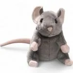 Mouse grey