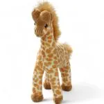 Giraffe stehend