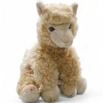 Alpaca sitting