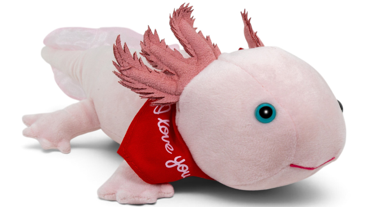 Kuscheltier Axolotl – rotes „I Love You“-Halstuch