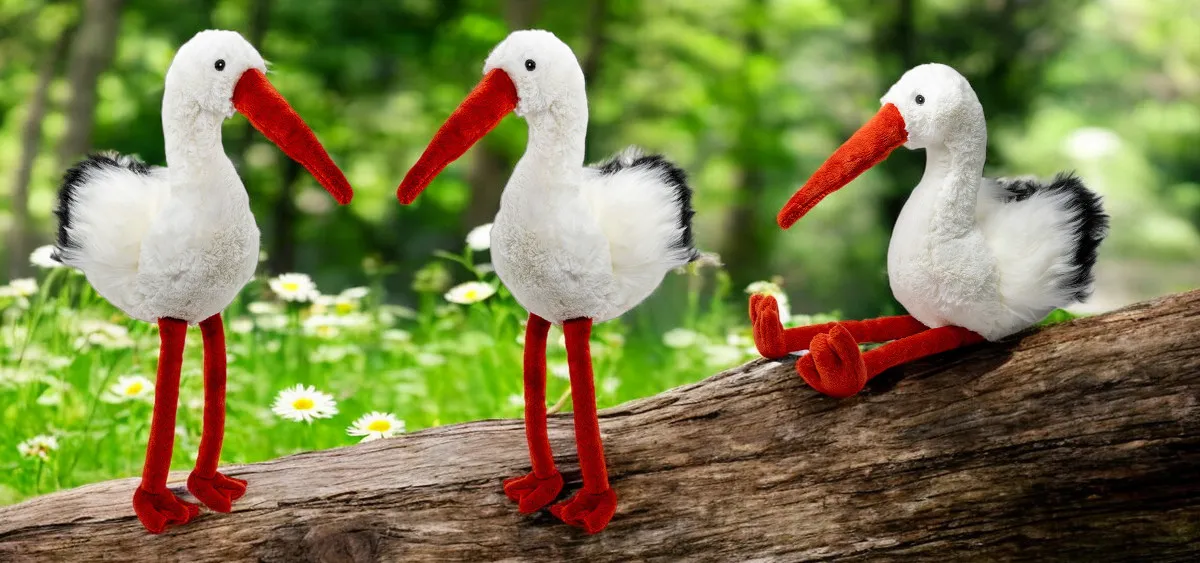 Stork