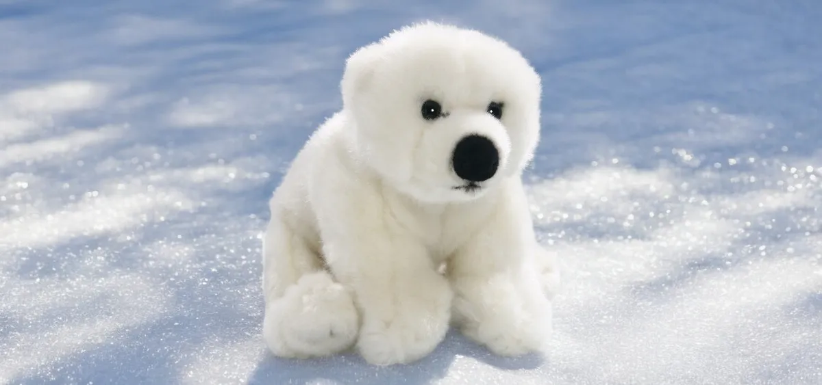 Polar Bear